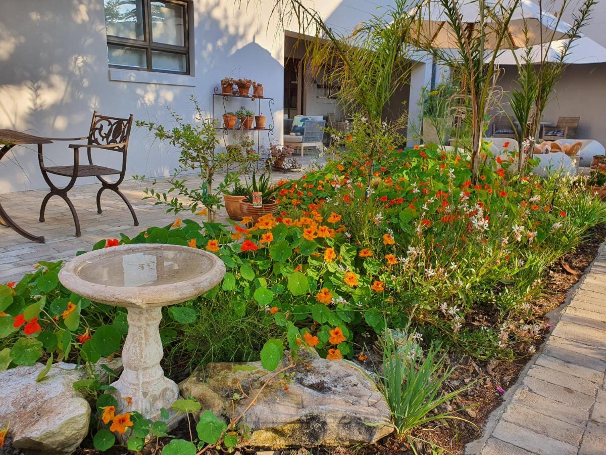 Albatross Guesthouse Langebaan Luaran gambar