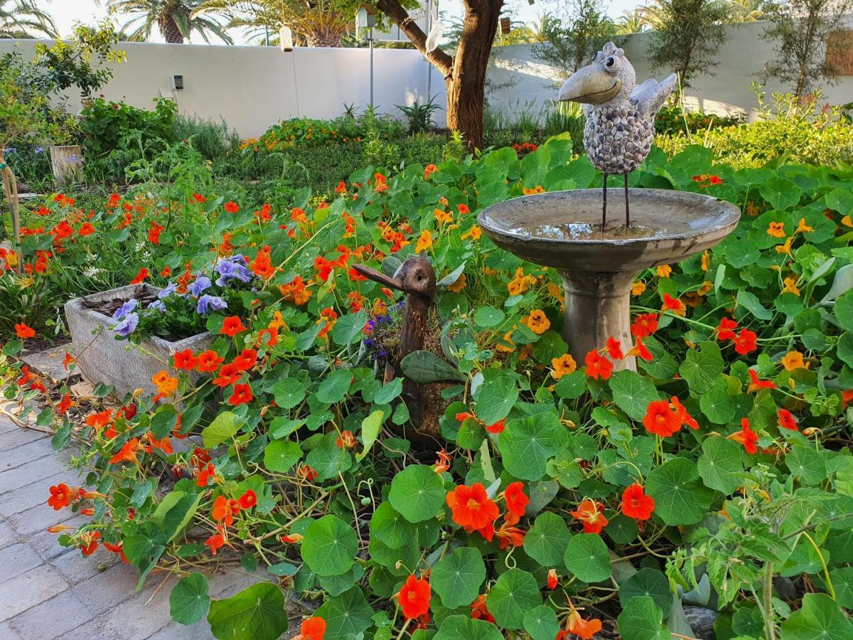 Albatross Guesthouse Langebaan Luaran gambar